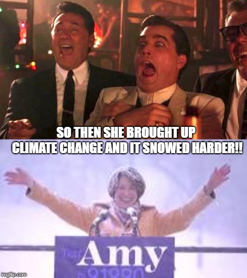 Climate Snow | SO THEN SHE BROUGHT UP CLIMATE CHANGE AND IT SNOWED HARDER!! | image tagged in goodfellas laughing scene henry hill,politics | made w/ Imgflip meme maker
