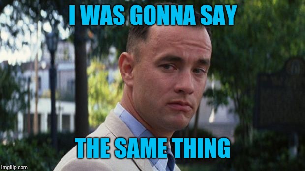 Forrest Gump | I WAS GONNA SAY THE SAME THING | image tagged in forrest gump | made w/ Imgflip meme maker