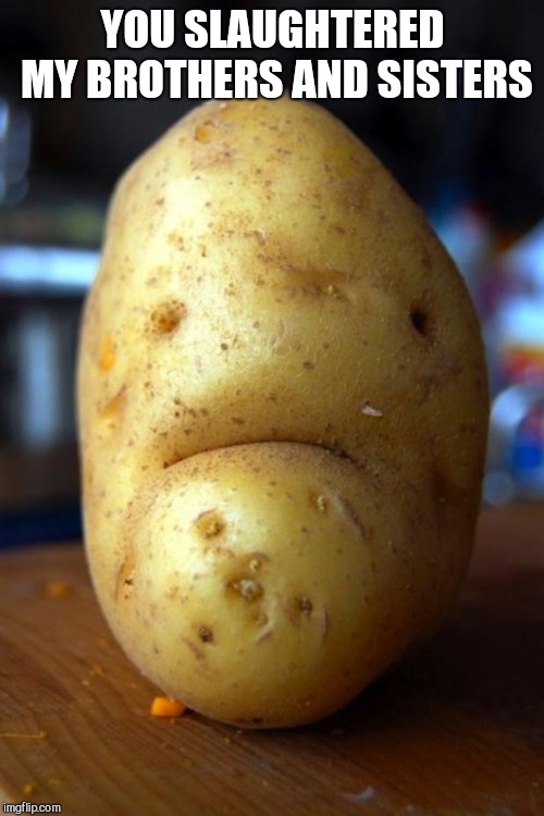 sad potato | YOU SLAUGHTERED MY BROTHERS AND SISTERS | image tagged in sad potato | made w/ Imgflip meme maker