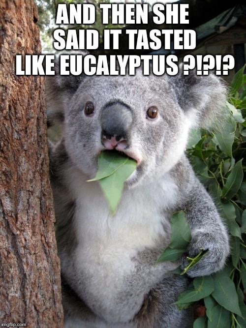 Surprised Koala | AND THEN SHE  SAID IT TASTED LIKE EUCALYPTUS ?!?!? | image tagged in memes,surprised koala | made w/ Imgflip meme maker