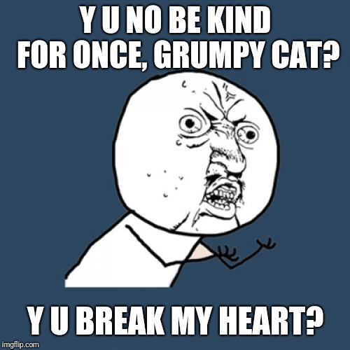 Y U No Meme | Y U NO BE KIND FOR ONCE, GRUMPY CAT? Y U BREAK MY HEART? | image tagged in memes,y u no | made w/ Imgflip meme maker