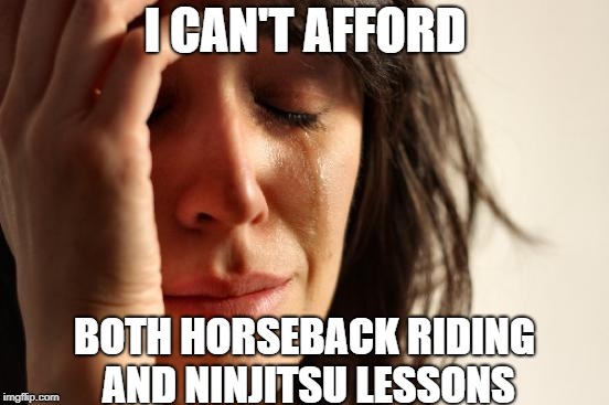 Can I afford one? | I CAN'T AFFORD; BOTH HORSEBACK RIDING AND NINJITSU LESSONS | image tagged in memes,first world problems,horse,funny,ninja,money | made w/ Imgflip meme maker