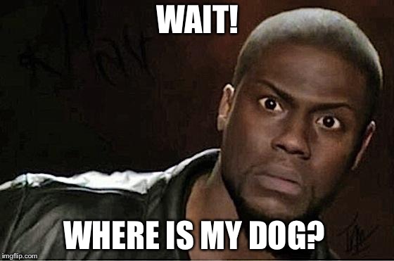 Kevin Hart Meme | WAIT! WHERE IS MY DOG? | image tagged in memes,kevin hart | made w/ Imgflip meme maker