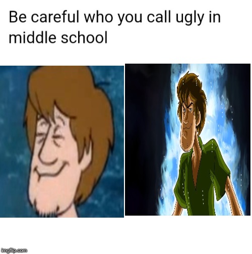 For real, don’t call Shaggy ugly ever or he’ll use 5% of his power on you. | image tagged in be careful who you call ugly in middle school | made w/ Imgflip meme maker