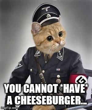 Grammar Nazi Cat | YOU CANNOT *HAVE* A CHEESEBURGER... | image tagged in grammar nazi cat | made w/ Imgflip meme maker