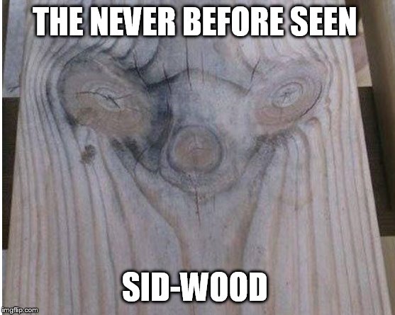 THE NEVER BEFORE SEEN; SID-WOOD | image tagged in comics/cartoons | made w/ Imgflip meme maker