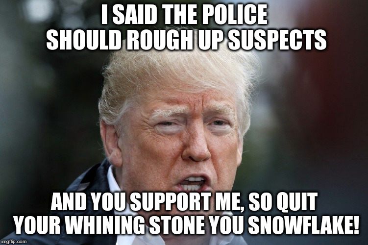 I SAID THE POLICE SHOULD ROUGH UP SUSPECTS AND YOU SUPPORT ME, SO QUIT YOUR WHINING STONE YOU SNOWFLAKE! | made w/ Imgflip meme maker