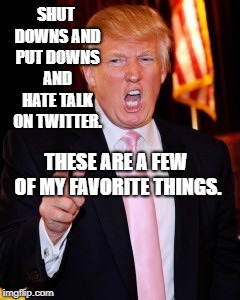 Donald Trump | SHUT DOWNS AND PUT DOWNS AND HATE TALK ON TWITTER. THESE ARE A FEW OF MY FAVORITE THINGS. | image tagged in donald trump | made w/ Imgflip meme maker