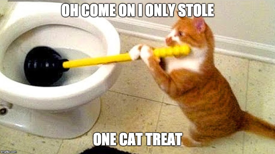 cat gets punished | OH COME ON I ONLY STOLE; ONE CAT TREAT | image tagged in cat gets punished | made w/ Imgflip meme maker