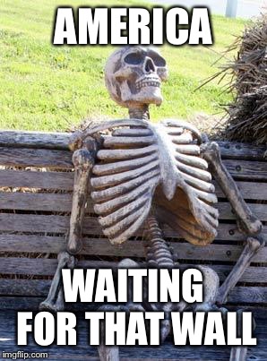 Waiting Skeleton | AMERICA; WAITING FOR THAT WALL | image tagged in memes,waiting skeleton | made w/ Imgflip meme maker