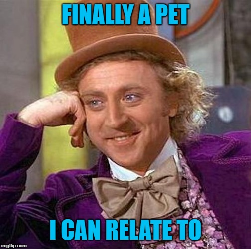 Creepy Condescending Wonka Meme | FINALLY A PET I CAN RELATE TO | image tagged in memes,creepy condescending wonka | made w/ Imgflip meme maker
