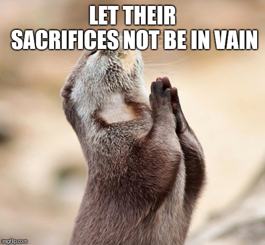 animal praying | LET THEIR SACRIFICES NOT BE IN VAIN | image tagged in animal praying | made w/ Imgflip meme maker