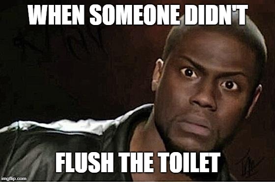 Kevin Hart Meme | WHEN SOMEONE DIDN'T; FLUSH THE TOILET | image tagged in memes,kevin hart | made w/ Imgflip meme maker