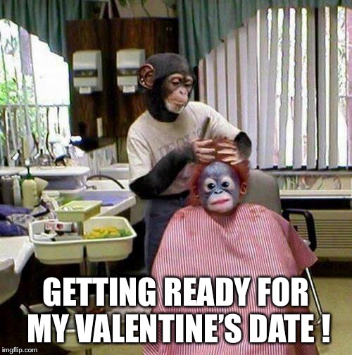 Monkey hairdresser | GETTING READY FOR MY VALENTINE’S DATE ! | image tagged in monkey hairdresser | made w/ Imgflip meme maker