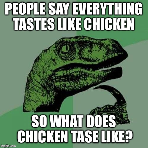 Philosoraptor Meme | PEOPLE SAY EVERYTHING TASTES LIKE CHICKEN; SO WHAT DOES CHICKEN TASE LIKE? | image tagged in memes,philosoraptor | made w/ Imgflip meme maker