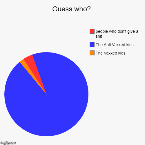 Guess who? | The Vaxxed kids , The Anti Vaxxed kids, people who don't give a shit | image tagged in funny,pie charts | made w/ Imgflip chart maker