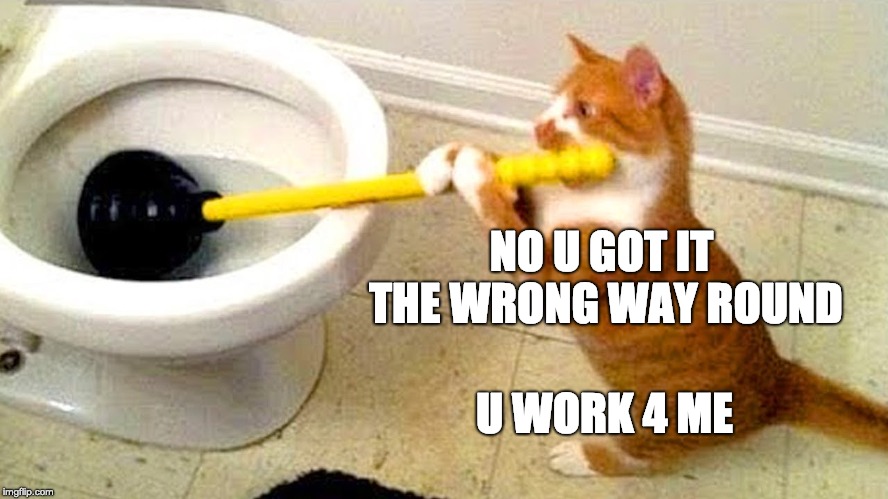 cat gets punished | NO U GOT IT THE WRONG WAY ROUND; U WORK 4 ME | image tagged in cat gets punished | made w/ Imgflip meme maker