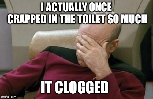 Captain Picard Facepalm Meme | I ACTUALLY ONCE CRAPPED IN THE TOILET SO MUCH; IT CLOGGED | image tagged in memes,captain picard facepalm | made w/ Imgflip meme maker