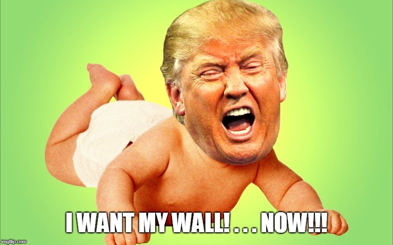 Cry baby Trump | I WANT MY WALL! . . . NOW!!! | image tagged in cry baby trump | made w/ Imgflip meme maker