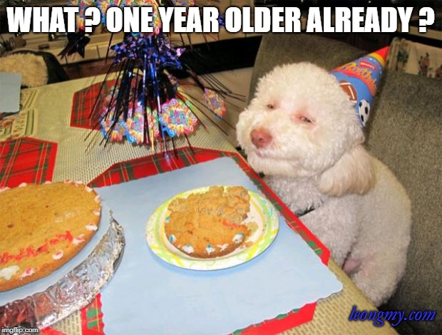 happy birthday | WHAT ? ONE YEAR OLDER ALREADY ? leongmy.com | image tagged in happy birthday | made w/ Imgflip meme maker