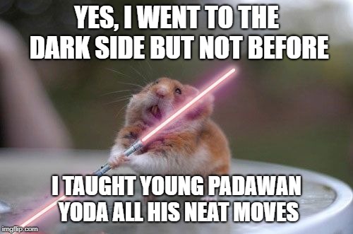 Star Wars hamster | YES, I WENT TO THE DARK SIDE BUT NOT BEFORE; I TAUGHT YOUNG PADAWAN YODA ALL HIS NEAT MOVES | image tagged in star wars hamster | made w/ Imgflip meme maker
