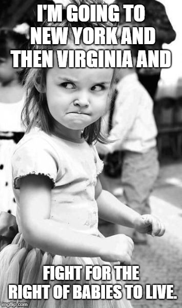 Angry Toddler | I'M GOING TO NEW YORK AND THEN VIRGINIA AND; FIGHT FOR THE RIGHT OF BABIES TO LIVE. | image tagged in memes,angry toddler | made w/ Imgflip meme maker