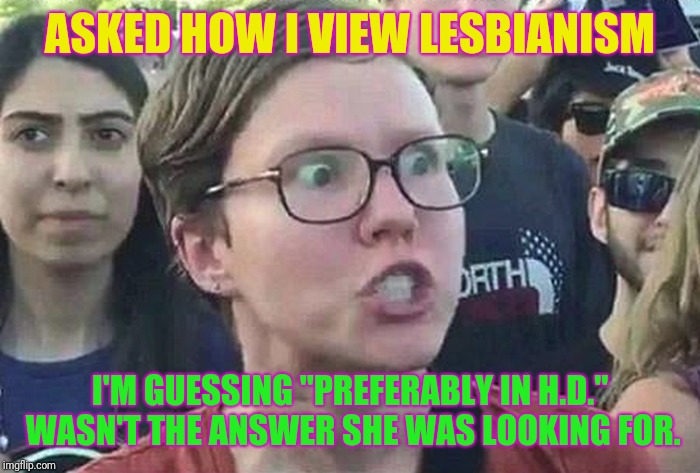 Triggered Liberal | ASKED HOW I VIEW LESBIANISM; I'M GUESSING "PREFERABLY IN H.D." WASN'T THE ANSWER SHE WAS LOOKING FOR. | image tagged in triggered liberal | made w/ Imgflip meme maker