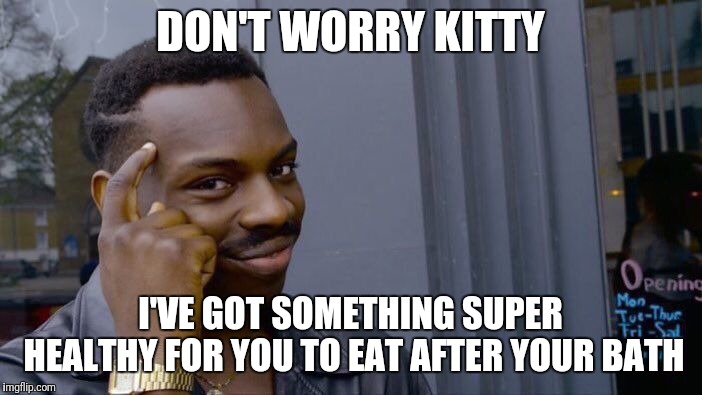 Roll Safe Think About It Meme | DON'T WORRY KITTY I'VE GOT SOMETHING SUPER HEALTHY FOR YOU TO EAT AFTER YOUR BATH | image tagged in memes,roll safe think about it | made w/ Imgflip meme maker