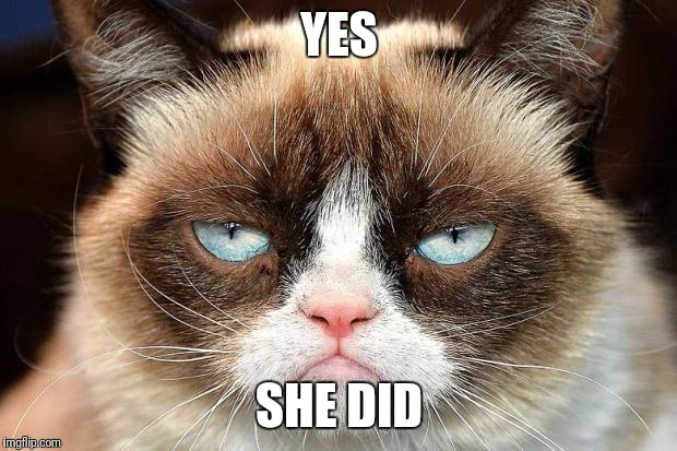 Grumpy Cat Not Amused Meme | YES SHE DID | image tagged in memes,grumpy cat not amused,grumpy cat | made w/ Imgflip meme maker
