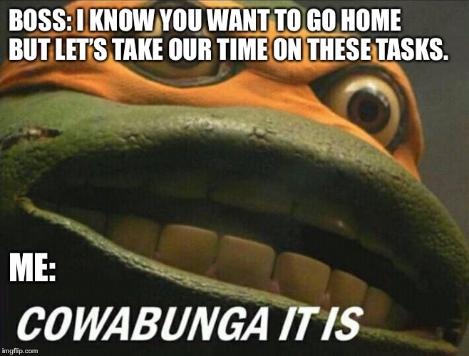 Cowabunga it is | BOSS: I KNOW YOU WANT TO GO HOME BUT LET’S TAKE OUR TIME ON THESE TASKS. ME: | image tagged in cowabunga it is | made w/ Imgflip meme maker