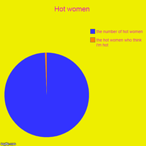 Hot women | the hot women who think i'm hot, the number of hot women | image tagged in funny,pie charts | made w/ Imgflip chart maker
