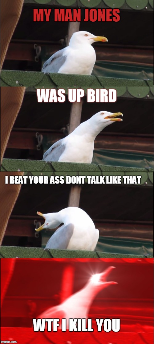 Inhaling Seagull Meme | MY MAN JONES; WAS UP BIRD; I BEAT YOUR ASS DONT TALK LIKE THAT; WTF I KILL YOU | image tagged in memes,inhaling seagull | made w/ Imgflip meme maker