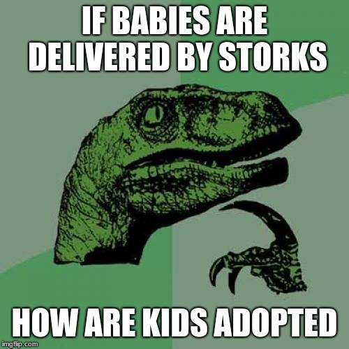 Philosoraptor | IF BABIES ARE DELIVERED BY STORKS; HOW ARE KIDS ADOPTED | image tagged in memes,philosoraptor | made w/ Imgflip meme maker