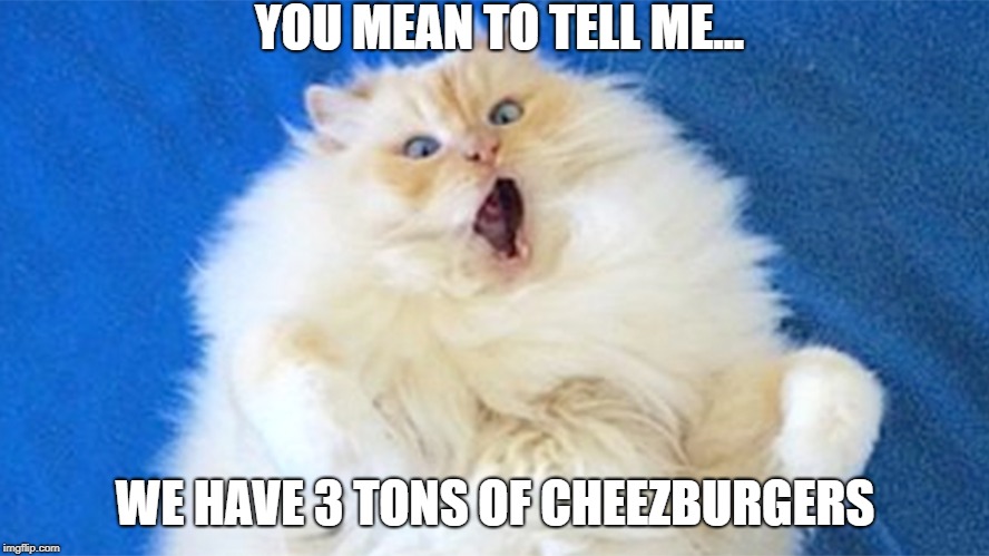 omg ragdoll | YOU MEAN TO TELL ME... WE HAVE 3 TONS OF CHEEZBURGERS | image tagged in omg ragdoll | made w/ Imgflip meme maker