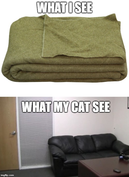 Cats love their blankets | WHAT I SEE; WHAT MY CAT SEE | image tagged in casting couch,army surplus blanket,cat | made w/ Imgflip meme maker