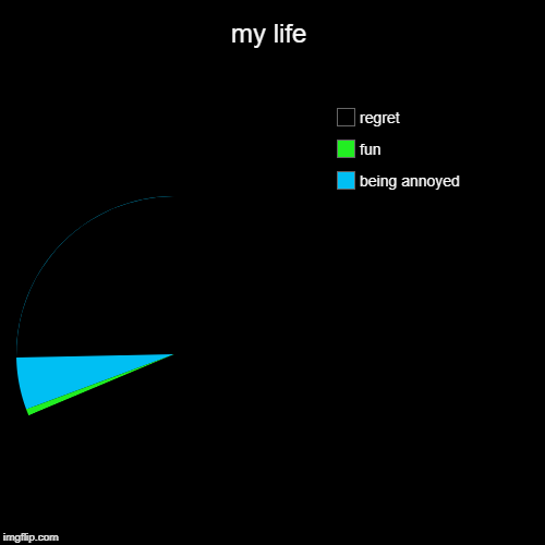 my life | being annoyed, fun, regret | image tagged in funny,pie charts | made w/ Imgflip chart maker
