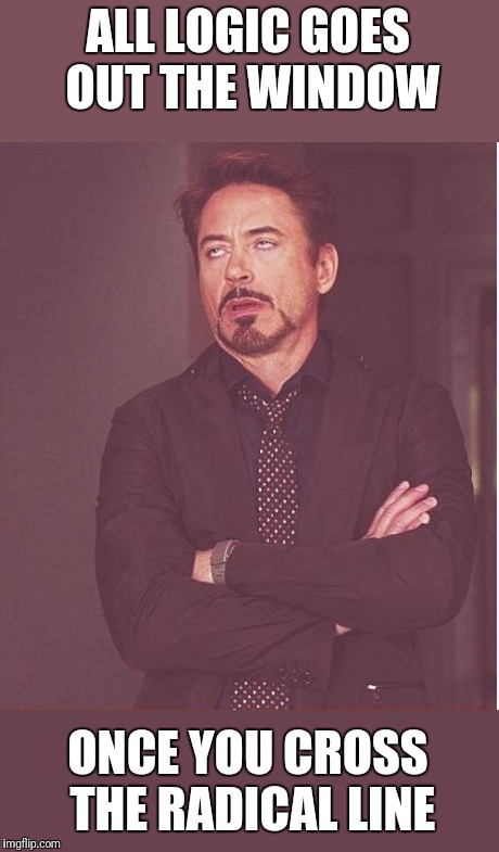 Face You Make Robert Downey Jr Meme | ALL LOGIC GOES OUT THE WINDOW ONCE YOU CROSS THE RADICAL LINE | image tagged in memes,face you make robert downey jr | made w/ Imgflip meme maker