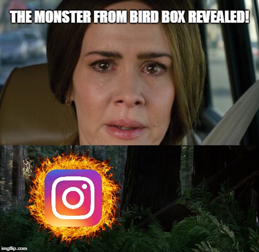 After all this time... | THE MONSTER FROM BIRD BOX REVEALED! | image tagged in bird box,instagram,suicide,funny,memes | made w/ Imgflip meme maker