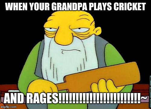 Grandpa playing cricket | WHEN YOUR GRANDPA PLAYS CRICKET; AND RAGES!!!!!!!!!!!!!!!!!!!!!!!!~ | image tagged in memes,that's a paddlin' | made w/ Imgflip meme maker