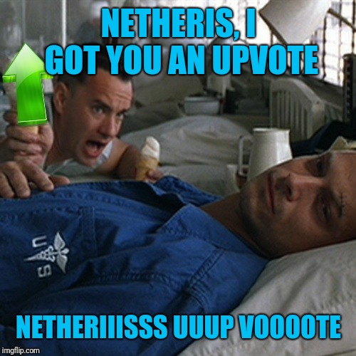 NETHERIS, I GOT YOU AN UPVOTE NETHERIIISSS UUUP VOOOOTE | made w/ Imgflip meme maker