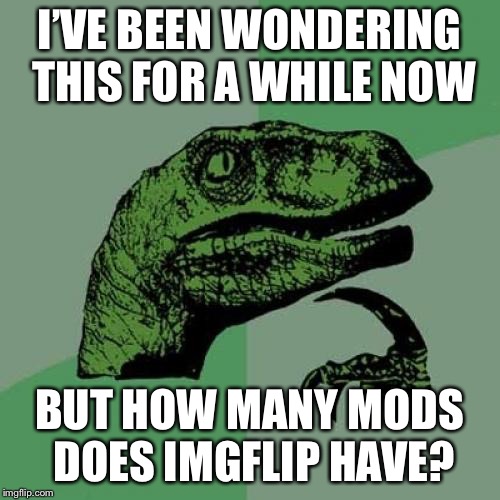 I know a few but I wonder how many there actually are on this site | I’VE BEEN WONDERING THIS FOR A WHILE NOW; BUT HOW MANY MODS DOES IMGFLIP HAVE? | image tagged in memes,philosoraptor,imgflip mods,imgflip community | made w/ Imgflip meme maker