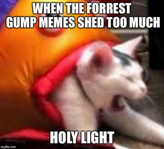 Forrest gump memes be like | WHEN THE FORREST GUMP MEMES SHED TOO MUCH; HOLY LIGHT | image tagged in forrest gump,relatable,memes,funny,death | made w/ Imgflip meme maker