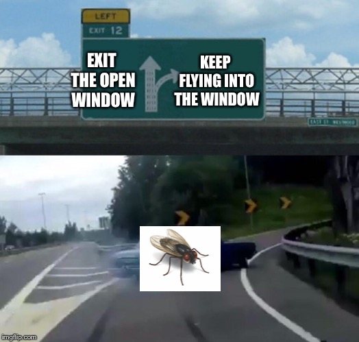 Left Exit 12 Off Ramp | KEEP FLYING INTO THE WINDOW; EXIT THE OPEN WINDOW | image tagged in memes,left exit 12 off ramp | made w/ Imgflip meme maker