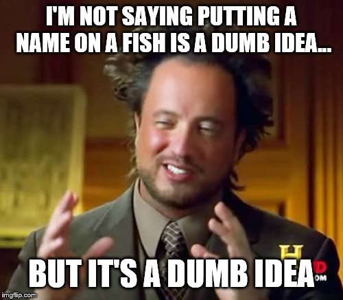 Ancient Aliens Meme | I'M NOT SAYING PUTTING A NAME ON A FISH IS A DUMB IDEA... BUT IT'S A DUMB IDEA | image tagged in memes,ancient aliens | made w/ Imgflip meme maker