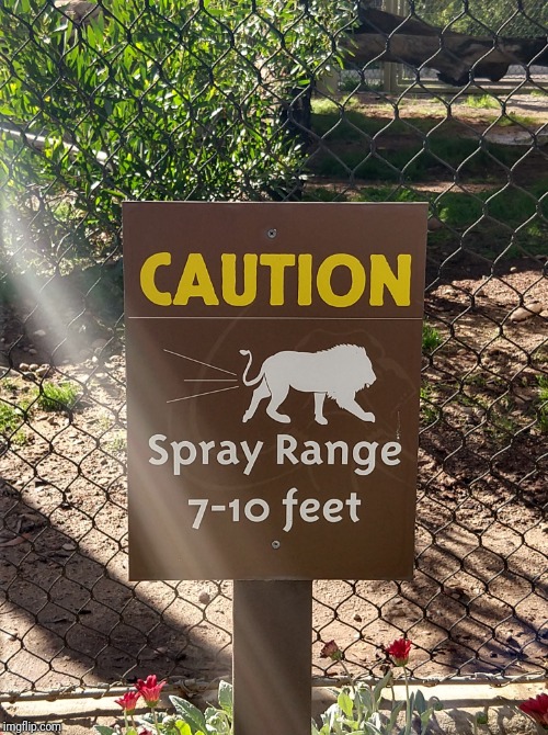 Found This at the Zoo. | image tagged in memes,funny,zoo | made w/ Imgflip meme maker