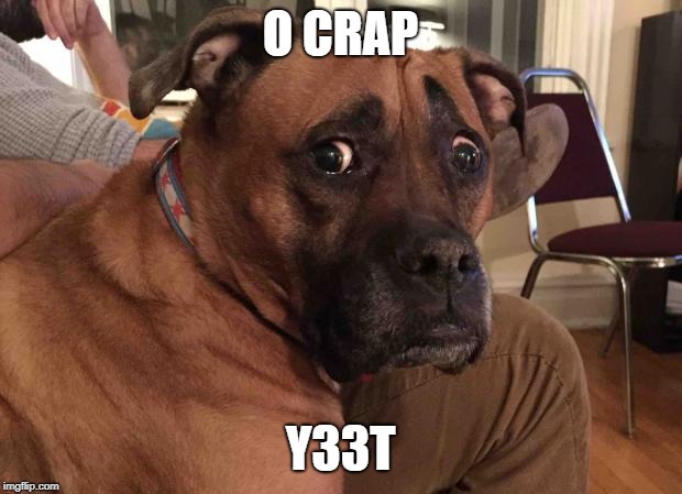 Oh crap dog | O CRAP; Y33T | image tagged in oh crap dog | made w/ Imgflip meme maker