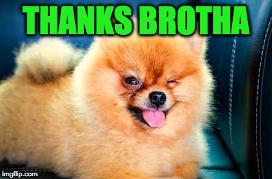 THANKS BROTHA | made w/ Imgflip meme maker