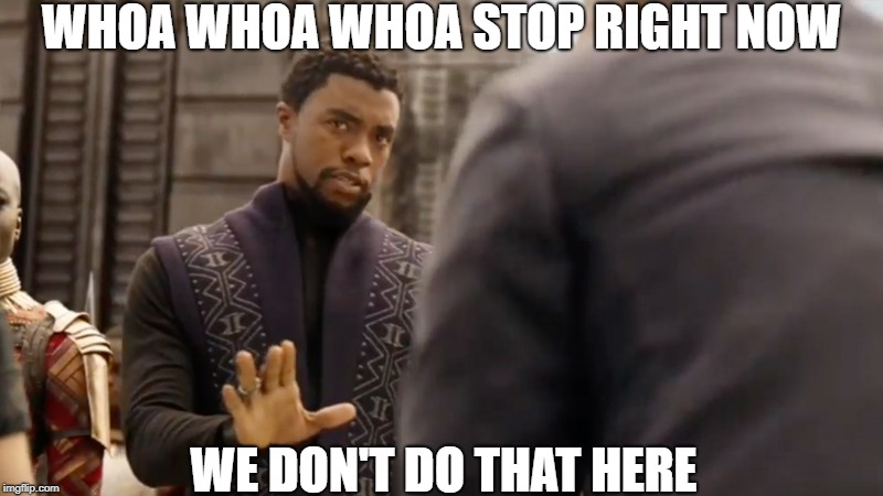 black panther | WHOA WHOA WHOA STOP RIGHT NOW; WE DON'T DO THAT HERE | image tagged in black panther | made w/ Imgflip meme maker