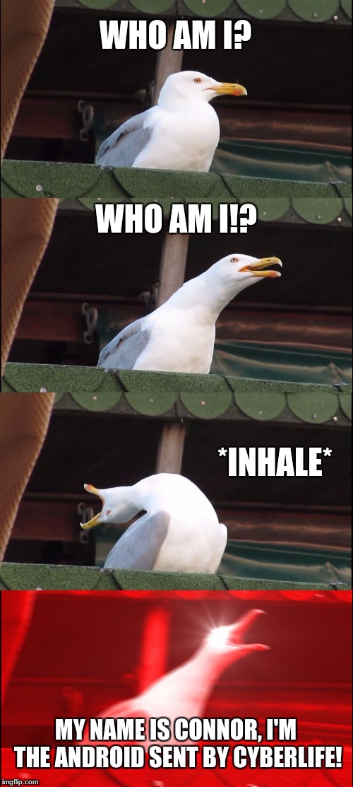 Inhaling Seagull Meme | WHO AM I? WHO AM I!? *INHALE*; MY NAME IS CONNOR, I'M THE ANDROID SENT BY CYBERLIFE! | image tagged in memes,inhaling seagull | made w/ Imgflip meme maker