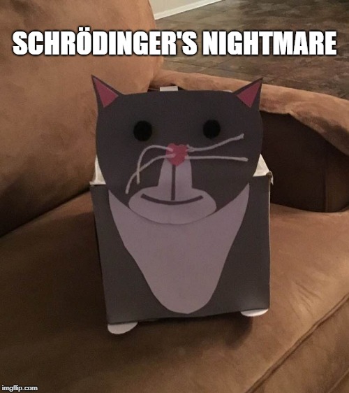 Schrödinger's nightmare | SCHRÖDINGER'S NIGHTMARE | image tagged in schrodinger,schrodinger's,cat,cats | made w/ Imgflip meme maker